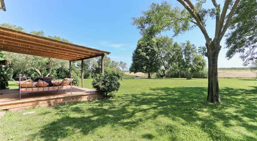 Photo of Little Vineyard