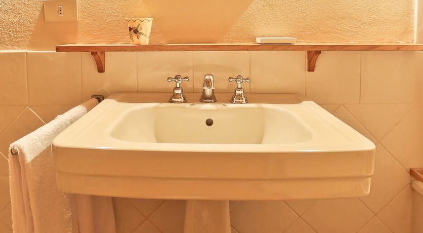 Photo of Little Vineyard