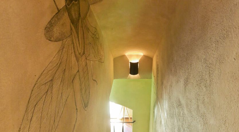 Photo of Little Vineyard