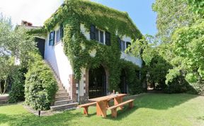 Photo of Little Vineyard