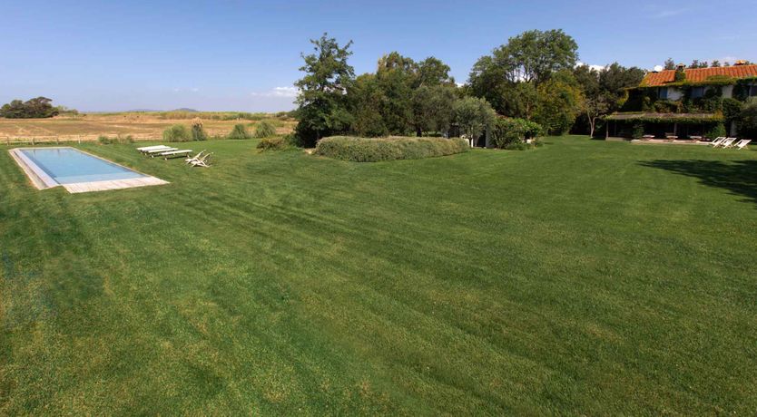 Photo of Little Vineyard