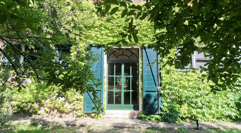 Photo of Little Vineyard