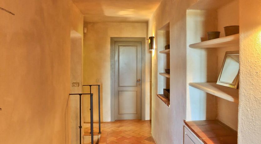 Photo of Little Vineyard