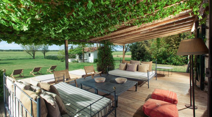 Photo of Little Vineyard