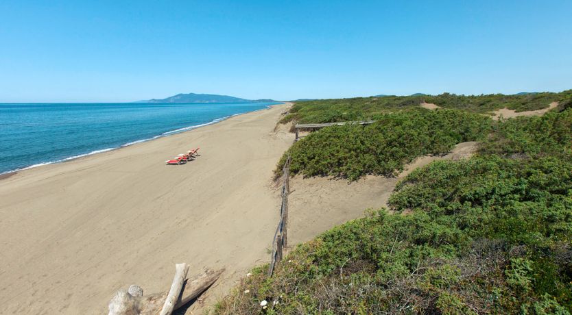 Photo of Little Vineyard