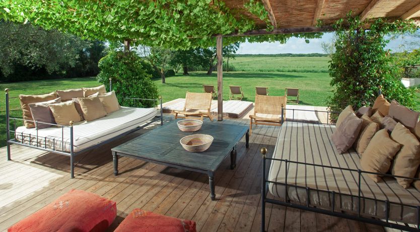 Photo of Little Vineyard