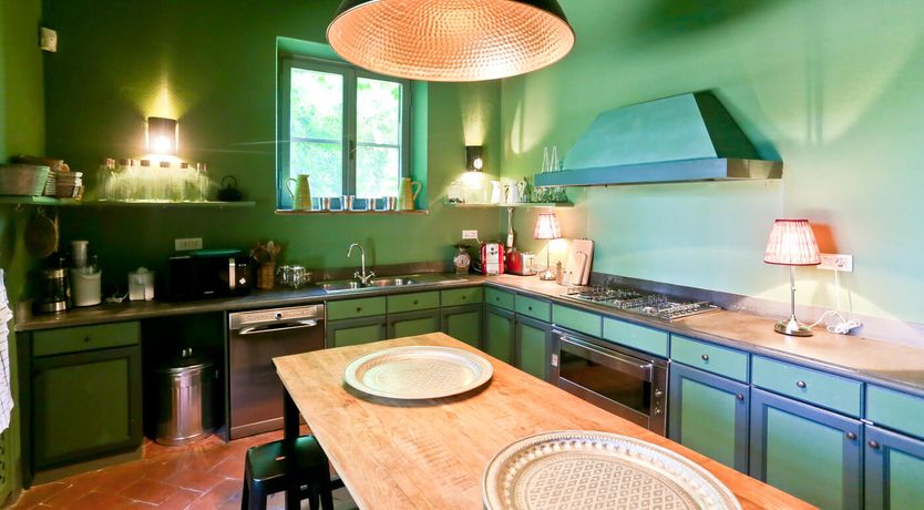 Photo of Little Vineyard