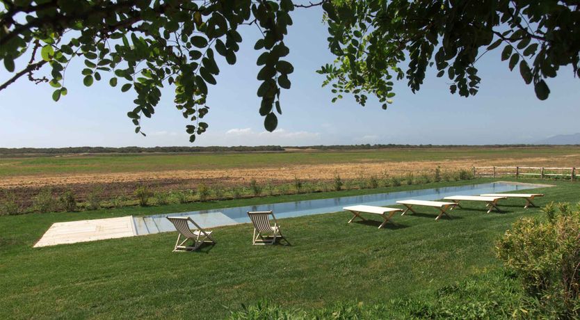 Photo of Little Vineyard