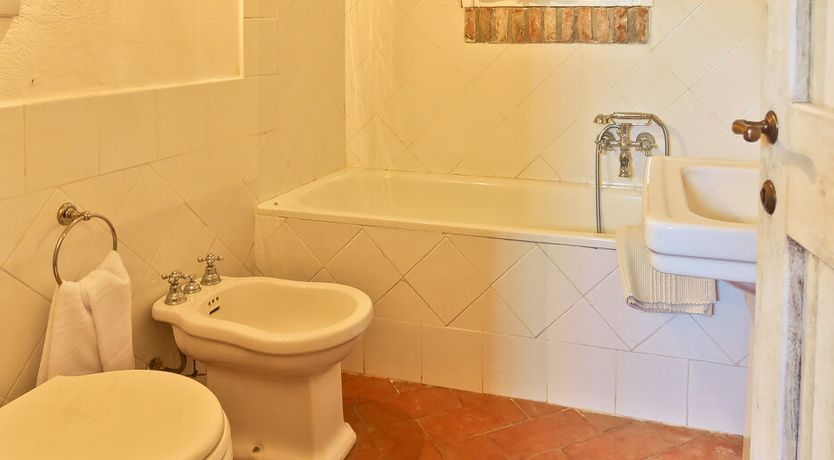 Photo of Little Vineyard