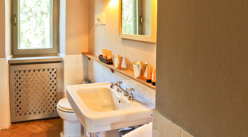 Photo of Little Vineyard