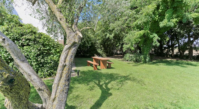 Photo of Little Vineyard