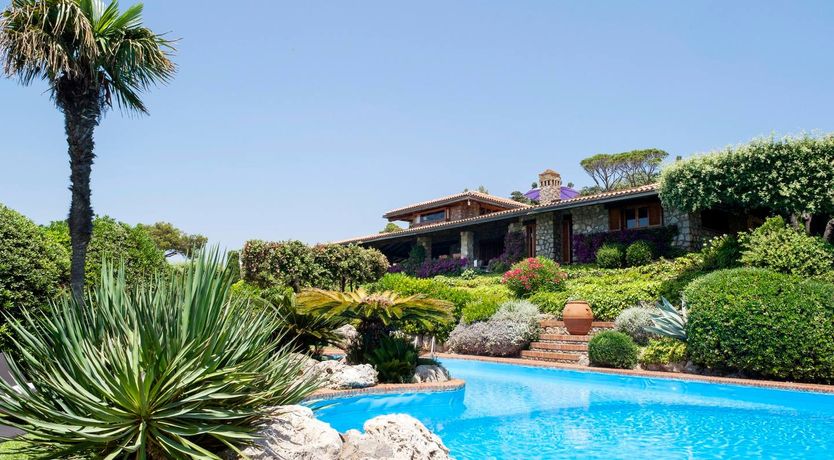 Photo of Seaside Geraniums