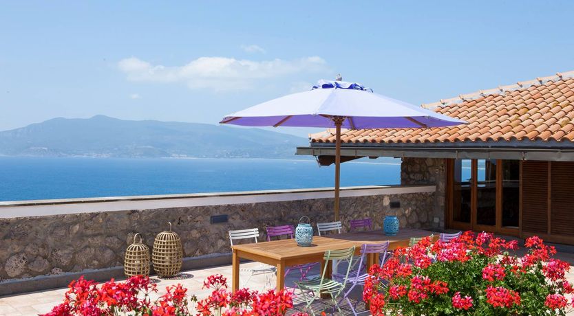 Photo of Seaside Geraniums