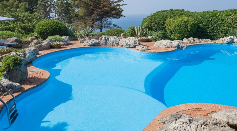 Photo of Seaside Geraniums