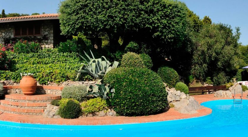 Photo of Seaside Geraniums