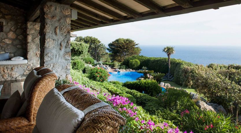 Photo of Seaside Geraniums