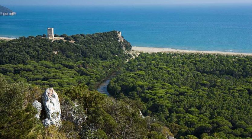 Photo of Dappled Waves