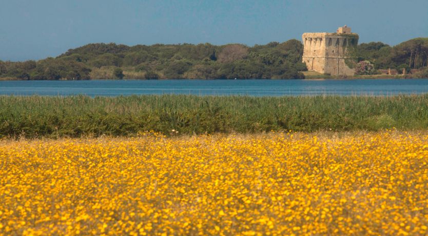 Photo of Terra Rossa