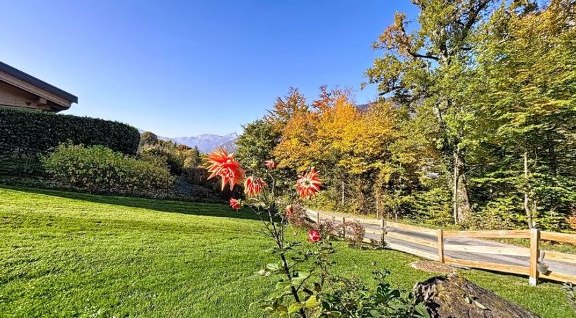 Photo of Le Blueberry