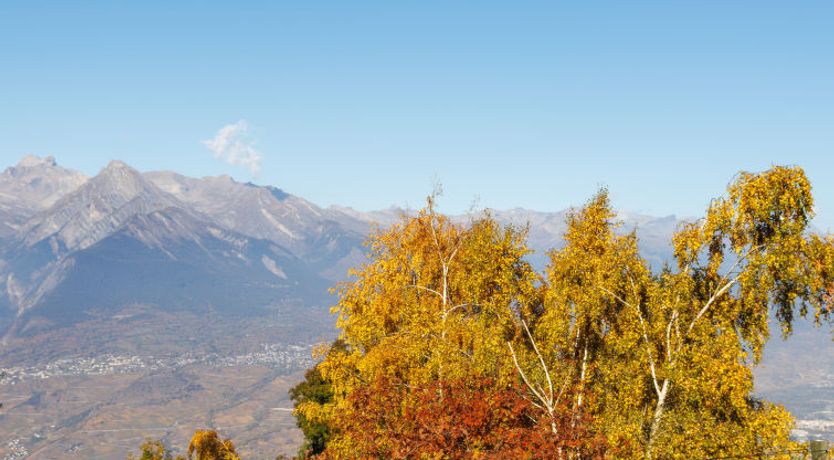 Photo of le Bouquetin