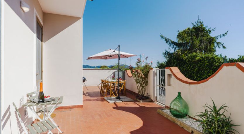 Photo of Sunflower piano terra