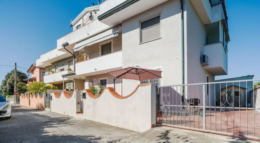 Photo of Sunflower piano terra