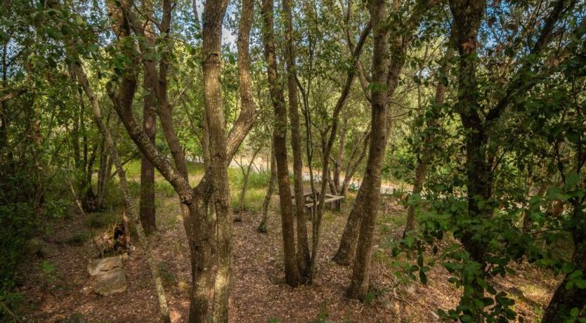 Photo of La Salve Can Jordi