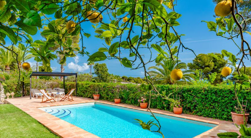 Photo of Villa Pomelo Plus Villa 2