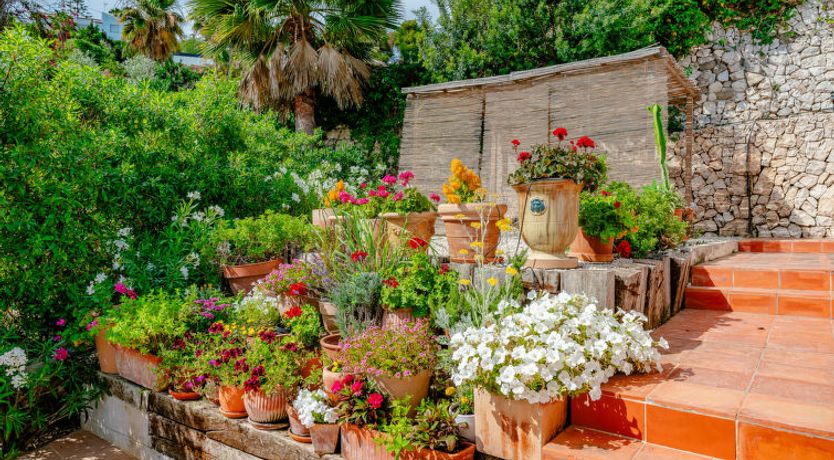 Photo of Villa Pomelo Plus Villa 2