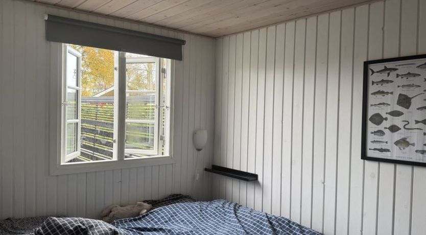 Photo of "Detlef" - 400m from the sea