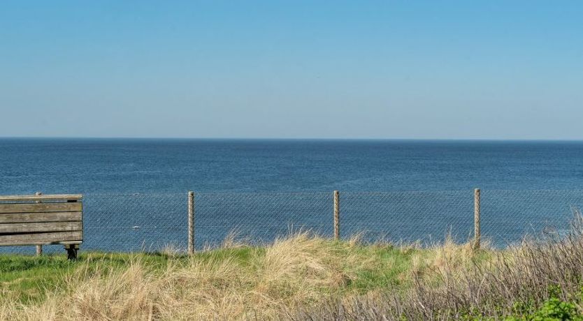 Photo of "Alberta" - 50m from the sea