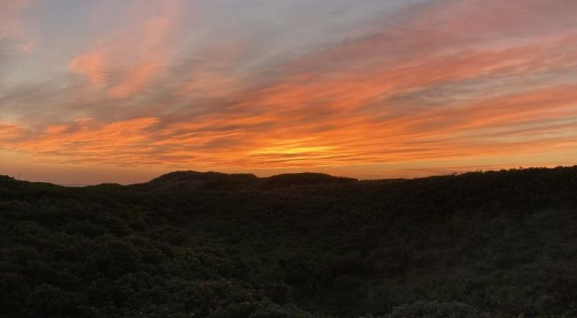 Photo of "Annaliese" - 175m from the sea