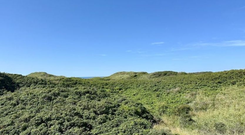 Photo of "Annaliese" - 175m from the sea