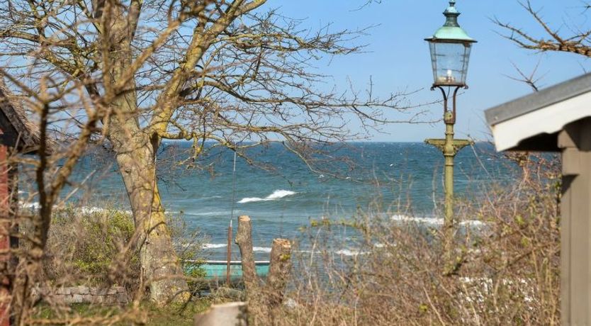 Photo of "Viljami" - 20m from the sea