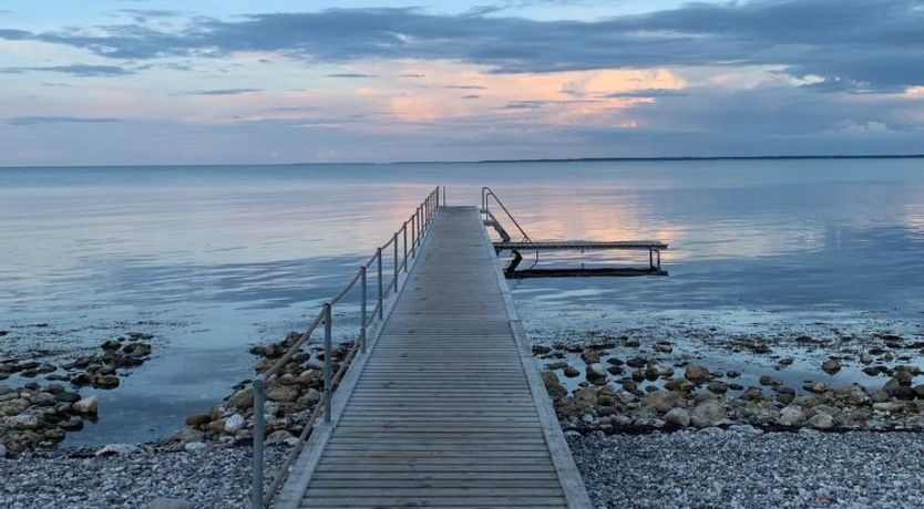 Photo of "Terne" - 90m from the sea