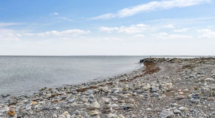 Photo of "Terne" - 90m from the sea