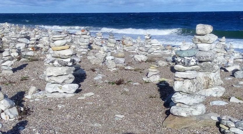 Photo of "Terne" - 90m from the sea