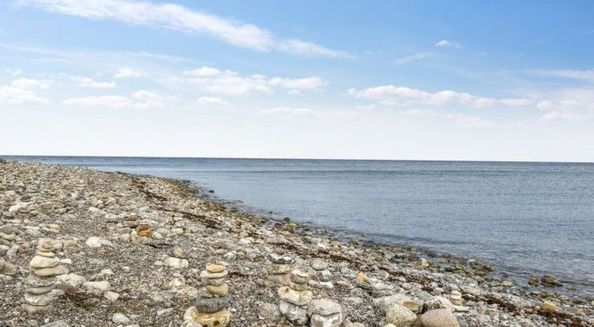 Photo of "Terne" - 90m from the sea