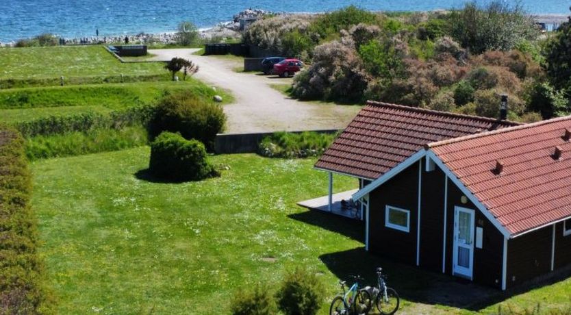 Photo of "Terne" - 90m from the sea