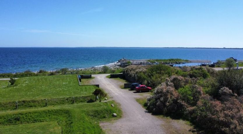 Photo of "Terne" - 90m from the sea