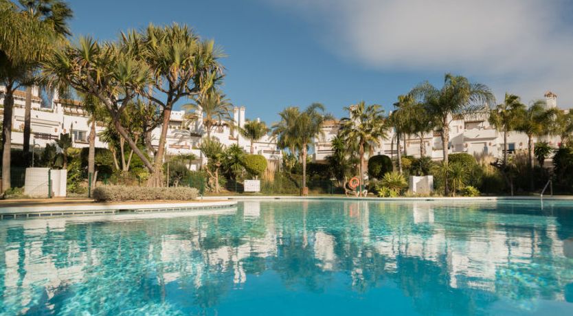 Photo of Perla Blanca