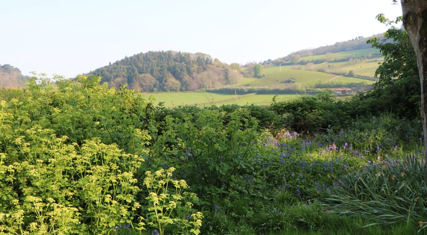 Photo of Chapel Cottage, Ellicombe