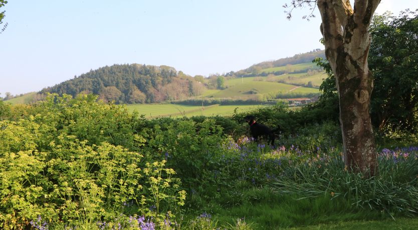 Photo of Stables Cottage, Ellicombe