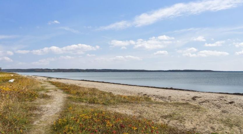 Photo of "Elle" - 175m from the sea