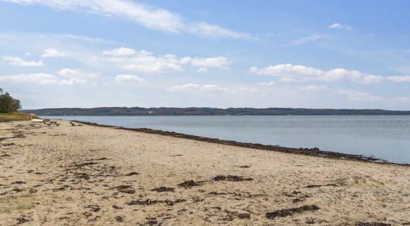 Photo of "Elle" - 175m from the sea