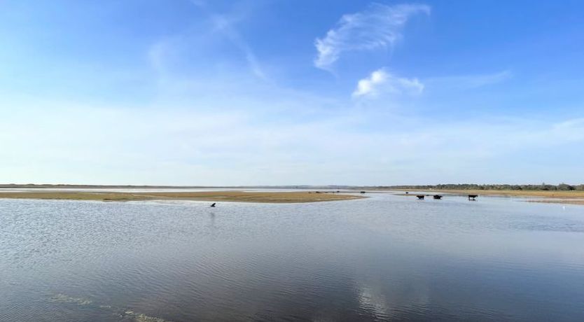 Photo of "Antonina" - 775m from the sea