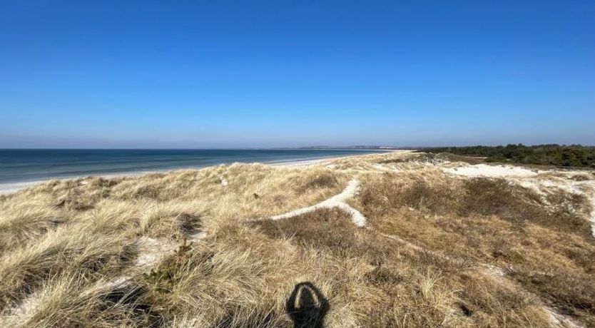 Photo of "Fatiha" - 800m from the sea