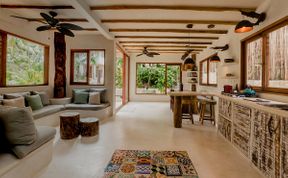 Photo of Tropical Daze