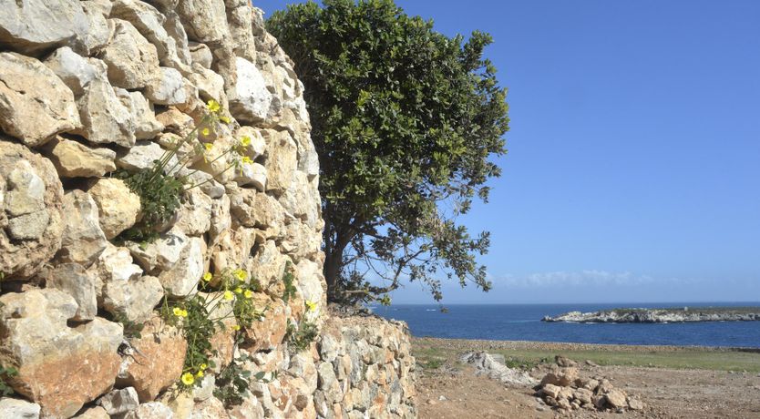 Photo of Egadi Island Paradise