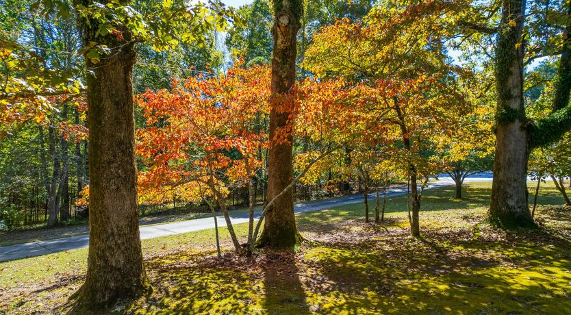 Photo of Woodland Georgia